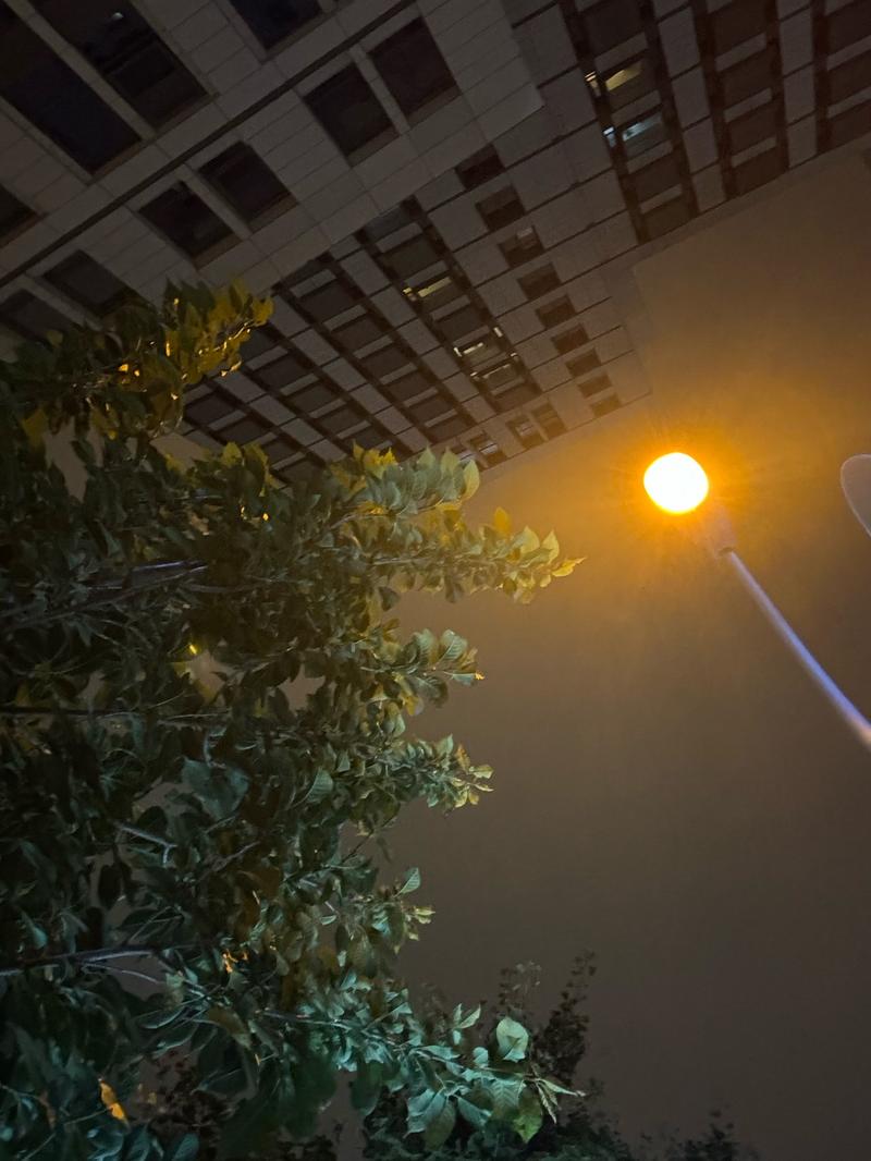 路灯下的小姑娘原唱