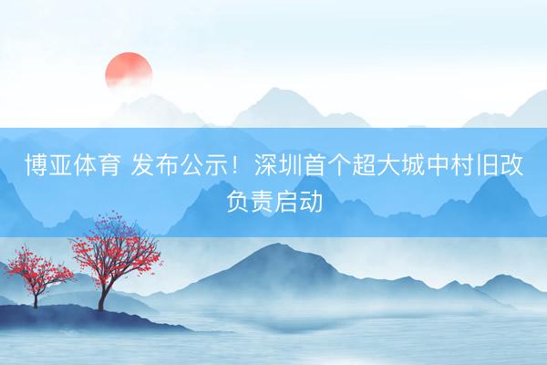 博亚体育 发布公示！深圳首个超大城中村旧改负责启动