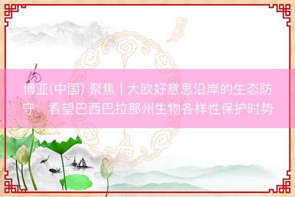 博亚(中国) 聚焦 | 大欧好意思沿岸的生态防守：看望巴西巴拉那州生物各样性保护时势