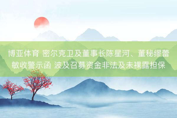 博亚体育 密尔克卫及董事长陈星河、董秘缪蕾敏收警示函 波及召募资金非法及未裸露担保