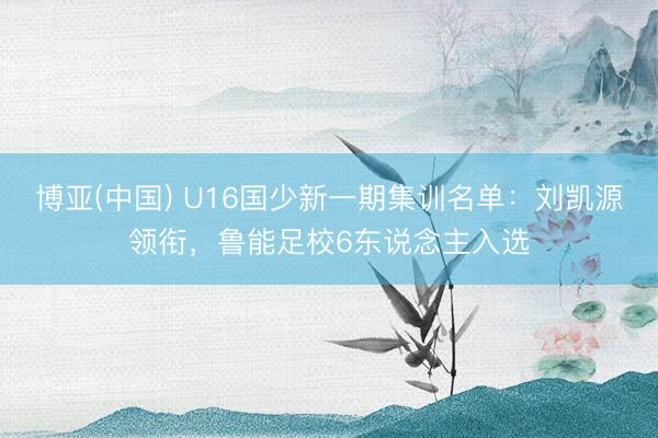 博亚(中国) U16国少新一期集训名单：刘凯源领衔，鲁能足校6东说念主入选