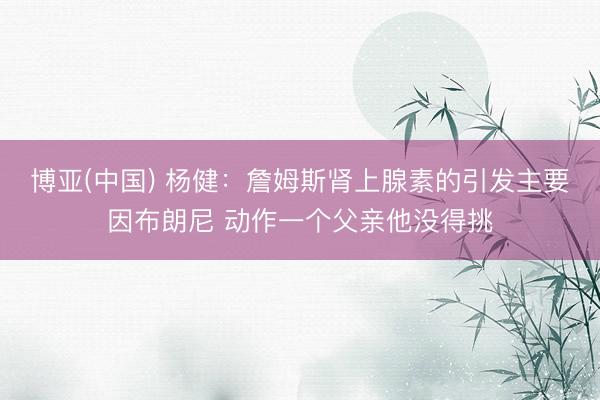 博亚(中国) 杨健：詹姆斯肾上腺素的引发主要因布朗尼 动作一个父亲他没得挑