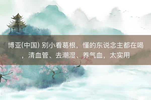 博亚(中国) 别小看葛根，懂的东说念主都在喝，清血管、去潮湿、养气血，太实用