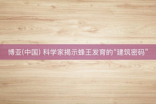 博亚(中国) 科学家揭示蜂王发育的“建筑密码”