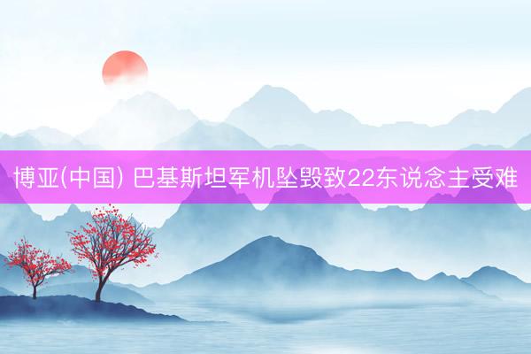 博亚(中国) 巴基斯坦军机坠毁致22东说念主受难