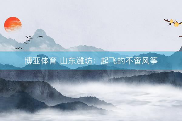 博亚体育 山东潍坊：起飞的不啻风筝