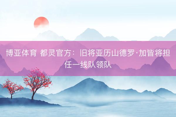 博亚体育 都灵官方：旧将亚历山德罗·加皆将担任一线队领队
