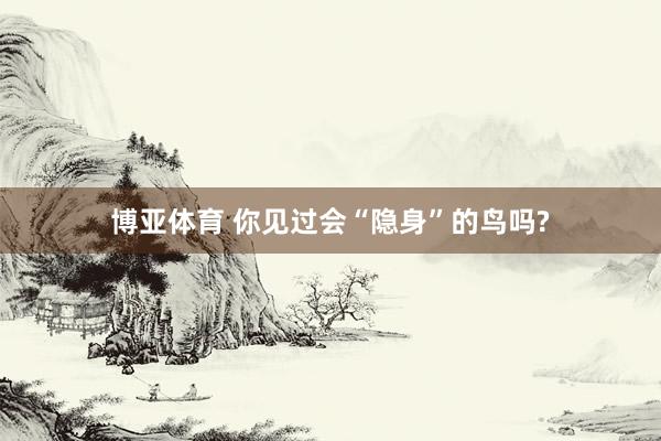 博亚体育 你见过会“隐身”的鸟吗?