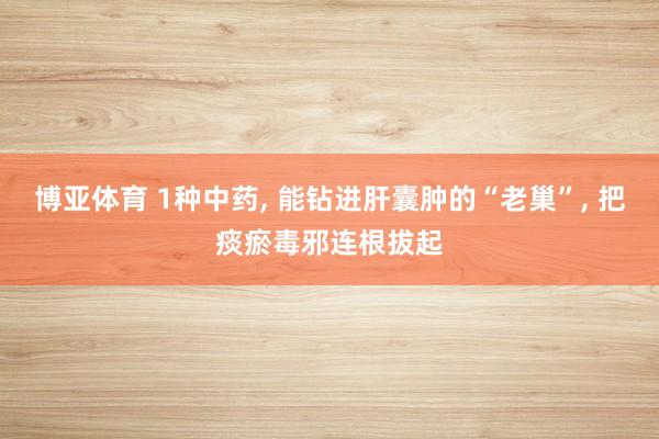 博亚体育 1种中药, 能钻进肝囊肿的“老巢”, 把痰瘀毒邪连根拔起